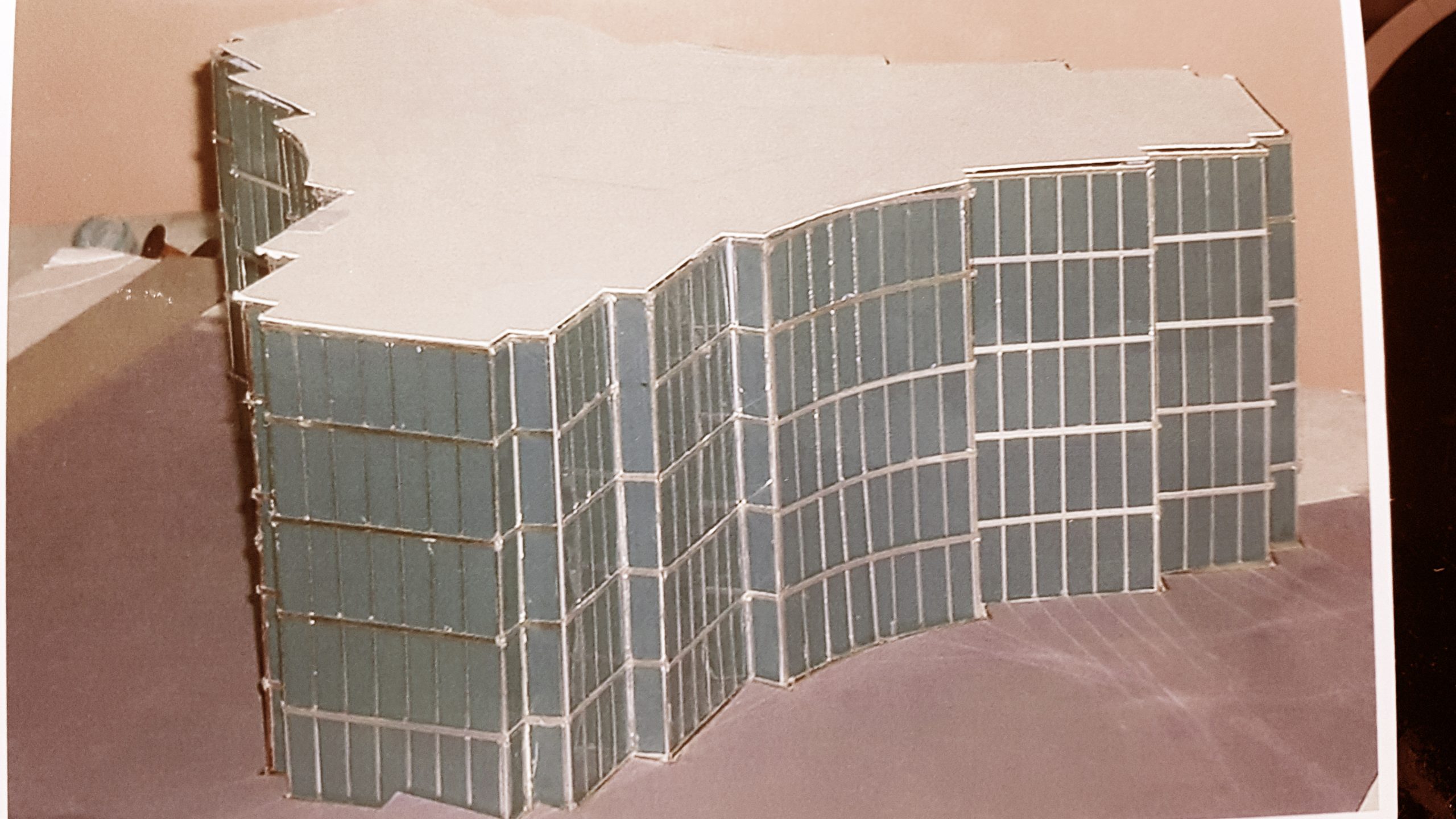 20190311_224602 copy